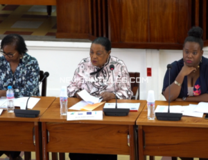 Séminaire clauses sociales Guadeloupe